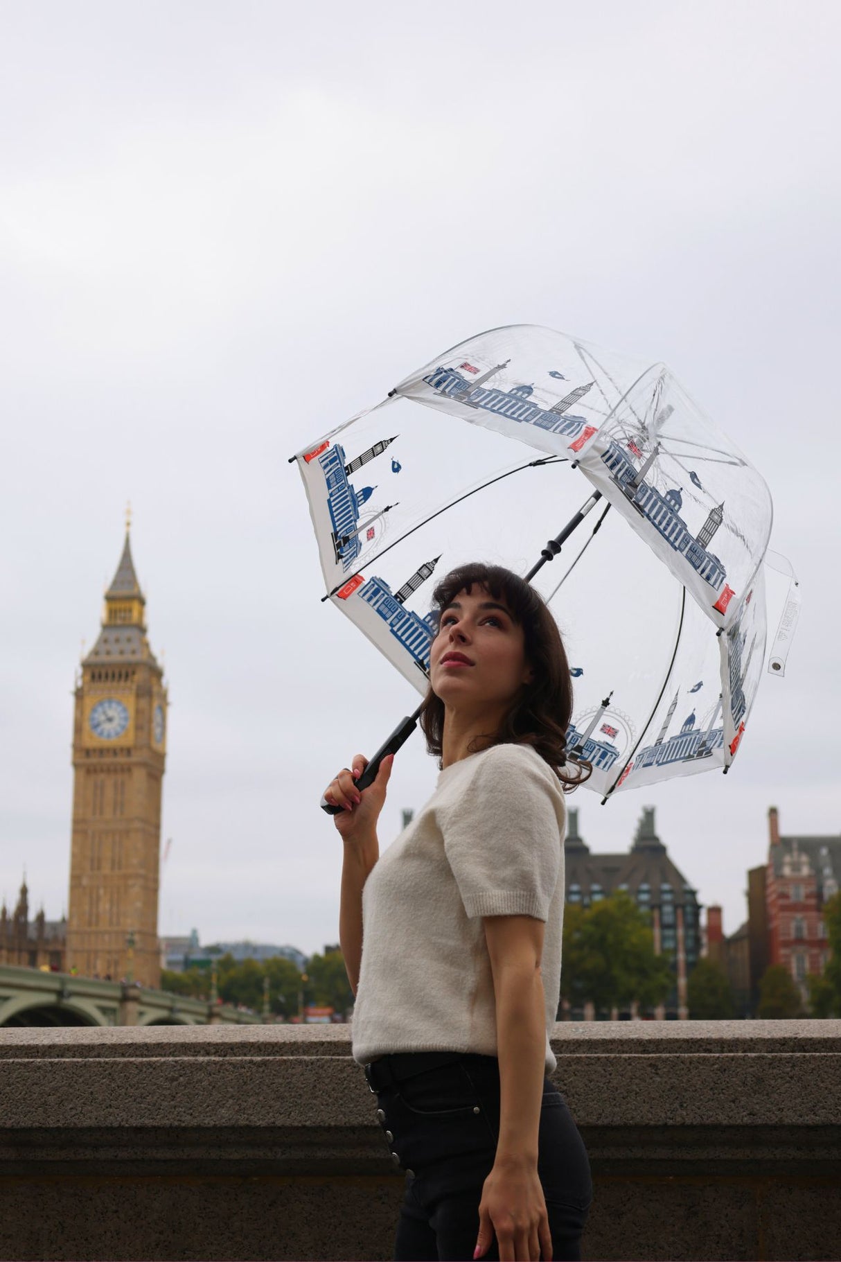 The National Gallery Birdcage® 2 - National Gallery Skyline
