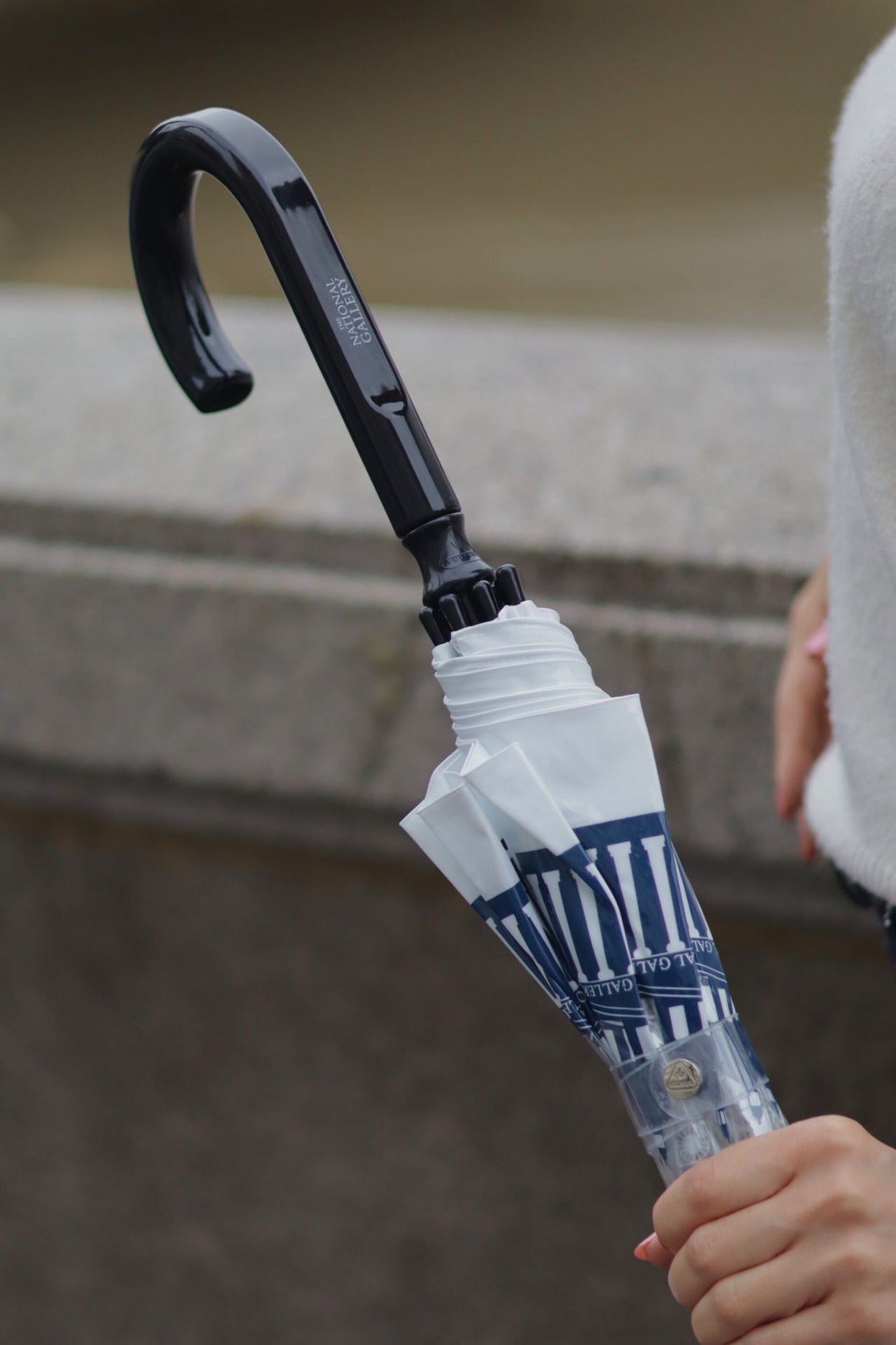 The National Gallery Birdcage® 2 - National Gallery Skyline