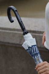 The National Gallery Birdcage® 2 - National Gallery Skyline