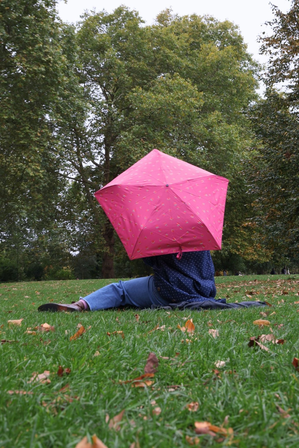 Aerolite 2 - Rose Bud