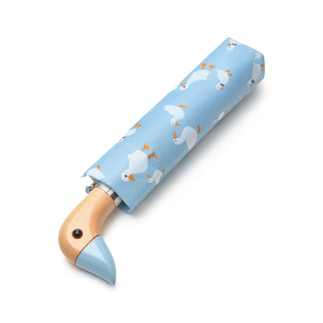 Curio 2 UV - Blue Duck