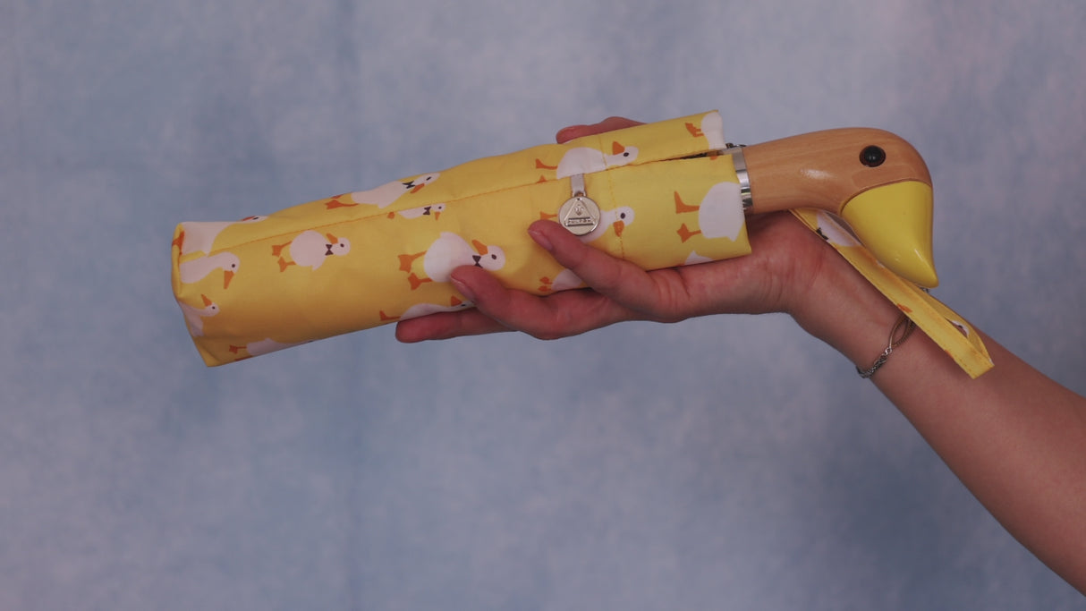 Curio 2 UV - Yellow Duck