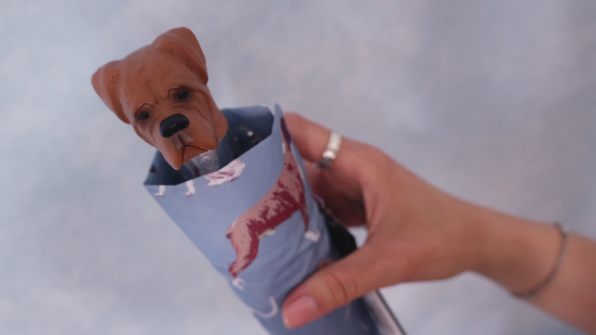 Curio 2 UV - Dog