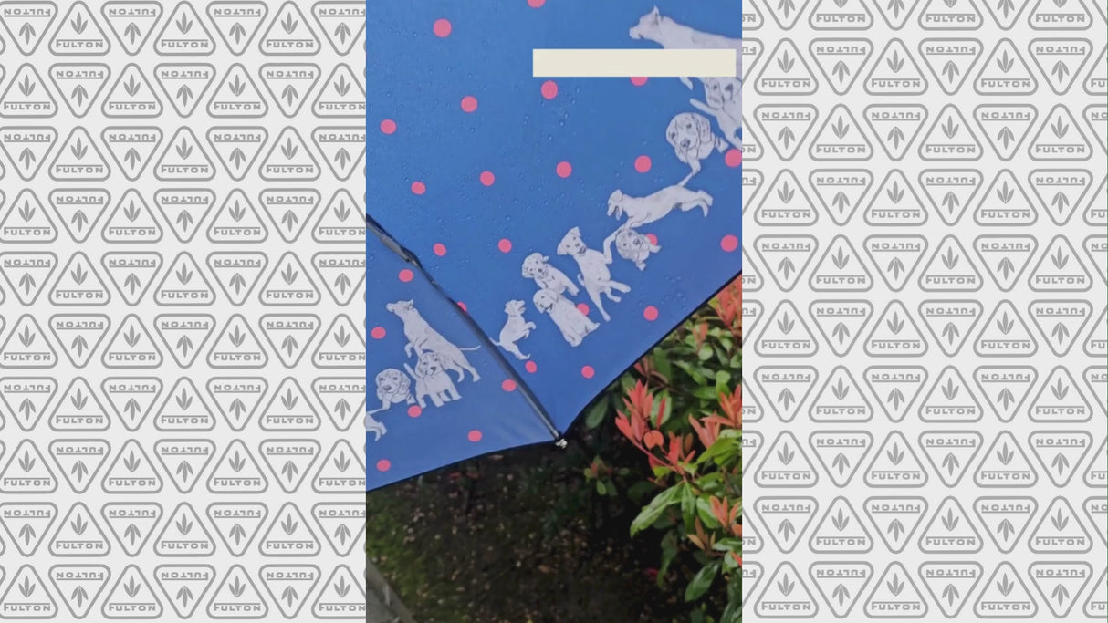 Minilite 2 - Mili's Friends