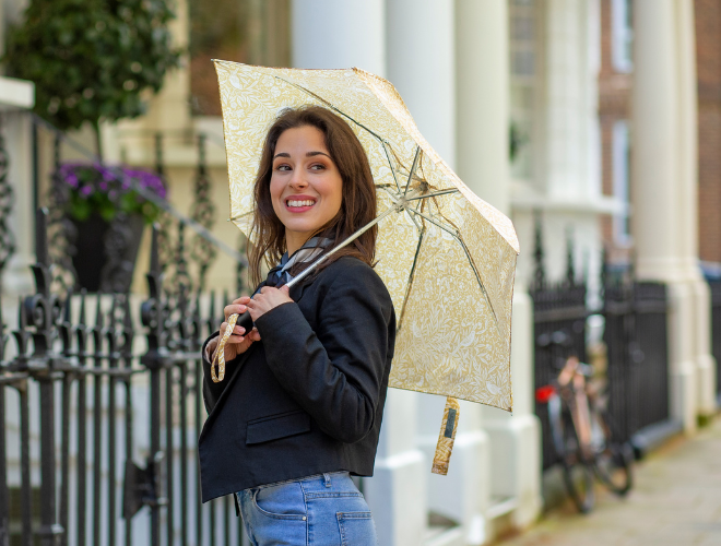 SHOP MORRIS & CO 