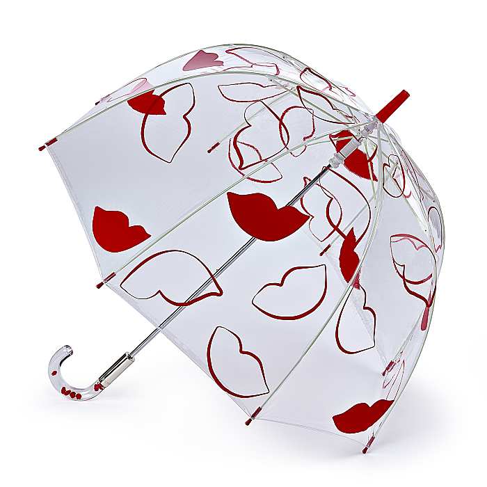 lulu guinness birdcage bag