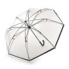 Invertor Clear - Main Image - Available from Fulton Umbrellas